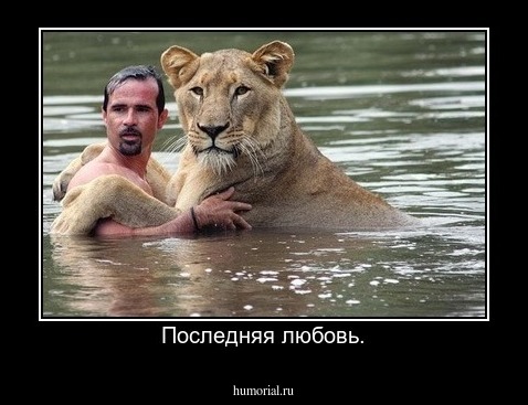 Последняя любовь.