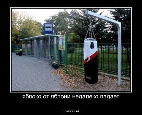 яблоко от яблони недалеко падает