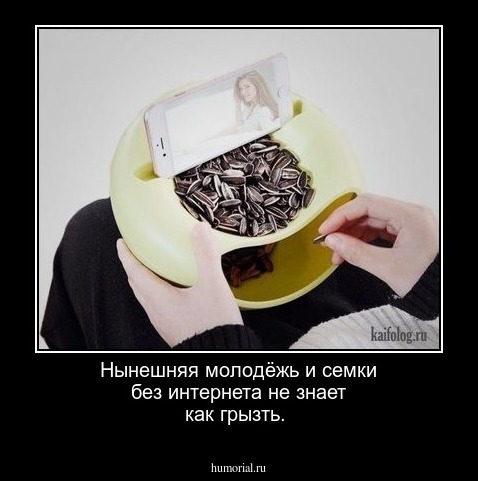 Нынешняя молодёжь и семки без интернета не знает как грызть.