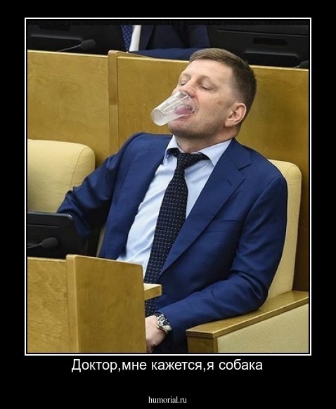 Доктор,мне кажется,я собака