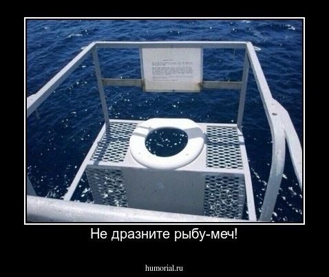 Не дразните рыбу-меч!
