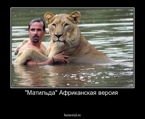 "Матильда" Африканская версия 
