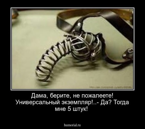 Дама, берите, не пожалеете! Универсальный экземпляр!..- Да? Тогда мне 5 штук!