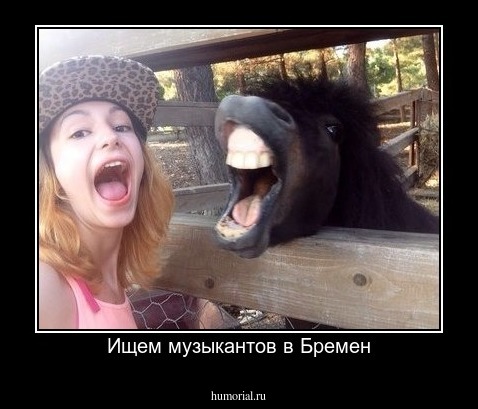 Ищем музыкантов в Бремен