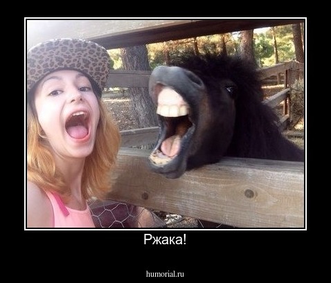 Ржака!