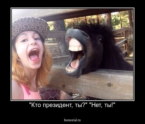 "Кто президент, ты?" "Нет, ты!"