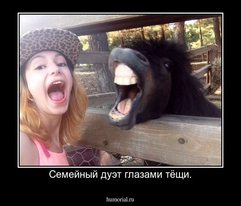 Семейный дуэт глазами тёщи.