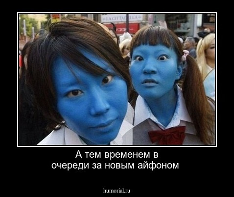 А тем временем в очереди за новым айфоном