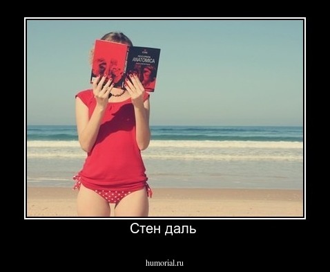 Стен даль 
