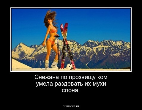 Снежана по прозвищу ком умела раздевать их мухи слона