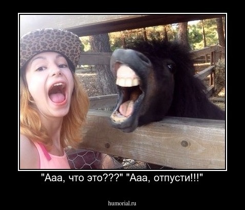 "Ааа, что это???" "Ааа, отпусти!!!"