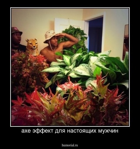  ахе эффект для настоящих мужчин
