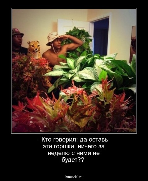 -Кто говорил: да оставь эти горшки, ничего за неделю с ними не будет??