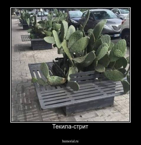 Текила-стрит