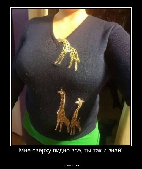 Мне сверху видно все, ты так и знай!