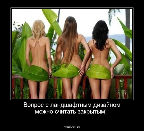 Вопрос с ландшафтным дизайном можно считать закрытым!