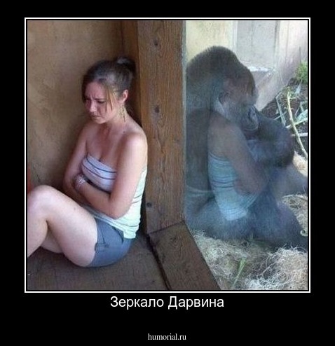 Зеркало Дарвина