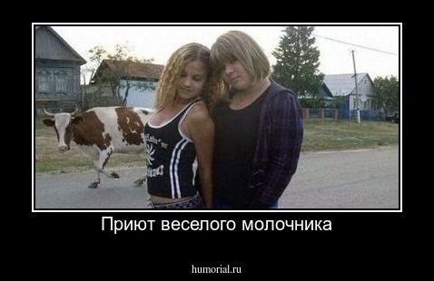 Приют веселого молочника