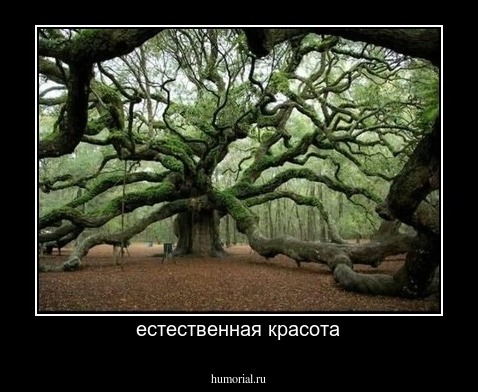 естественная красота