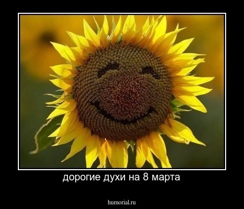 дорогие духи на 8 марта