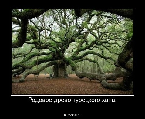 Родовое древо турецкого хана.