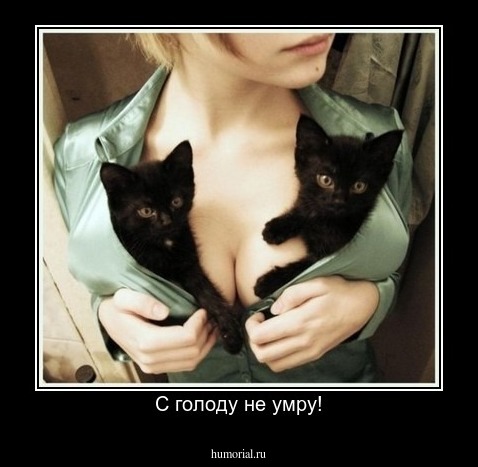 С голоду не умру!