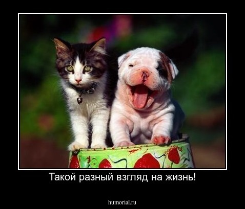 Такой разный взгляд на жизнь!