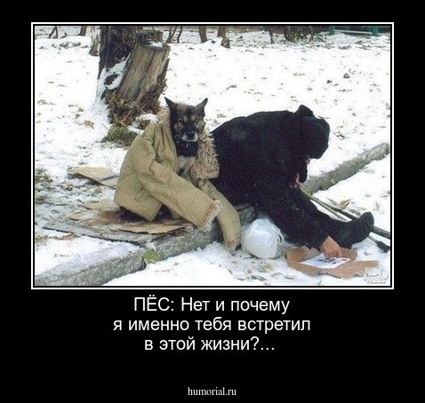 ПЁС: 
Нет и почему я именно тебя встретил в этой жизни?...
