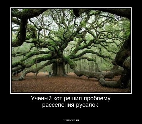 Ученый кот решил проблему расселения русалок