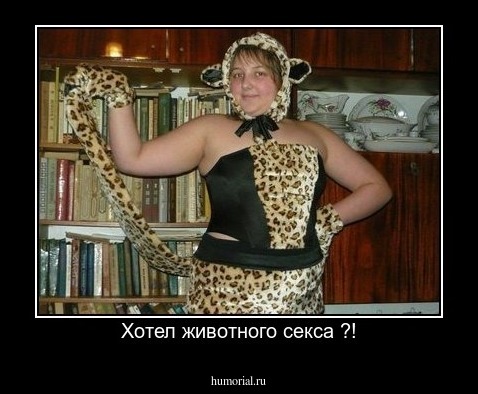 Хотел животного секса ?!