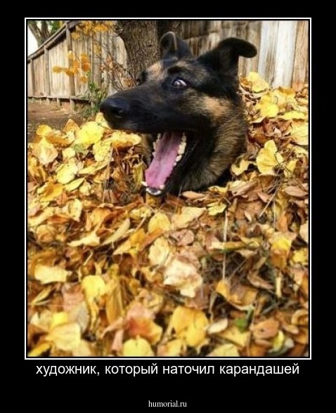 художник, который наточил карандашей