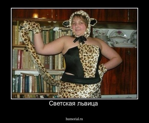 Светская львица 