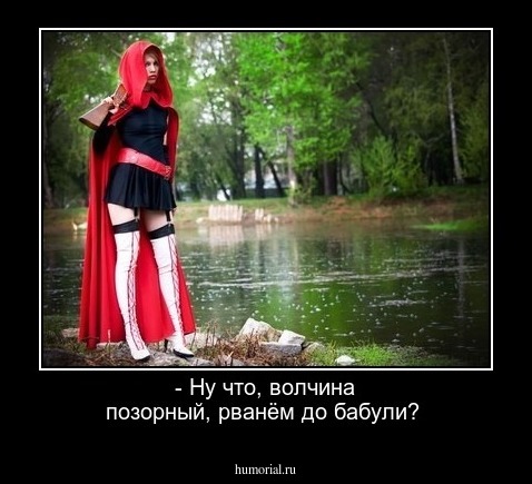 - Ну что, волчина позорный, рванём до бабули?