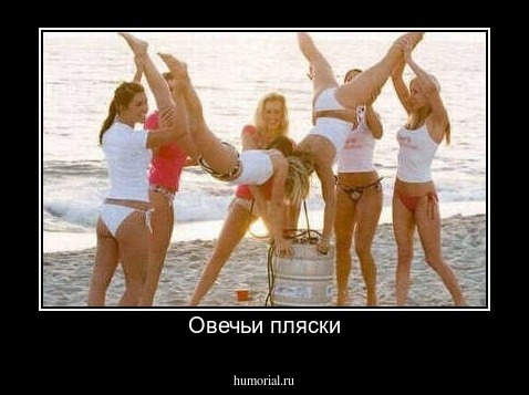 Овечьи пляски