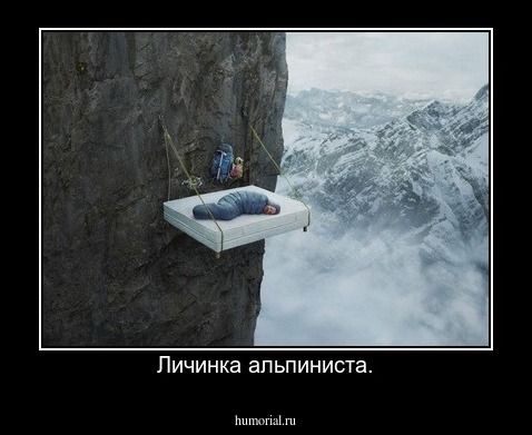 Личинка альпиниста.