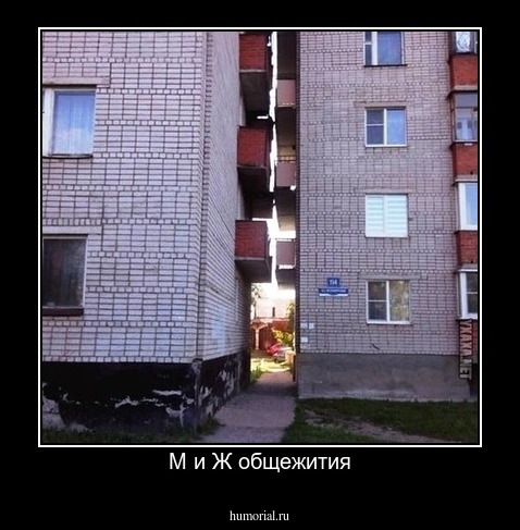 М и Ж общежития