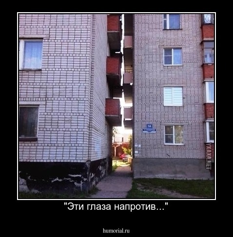 "Эти глаза напротив..."