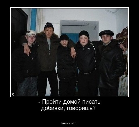 - Пройти домой писать добивки, говоришь? 