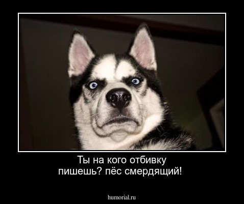 Ты на кого отбивку пишешь? пёс смердящий!