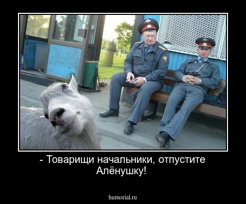 - Товарищи начальники, отпустите Алёнушку!