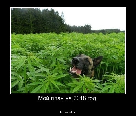 Мой план на 2018 год.