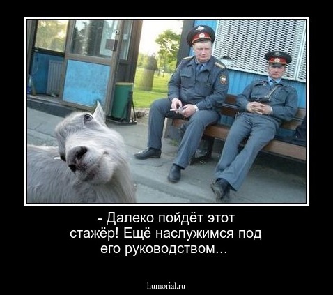 - Далеко пойдёт этот стажёр! Ещё наслужимся под его руководством...