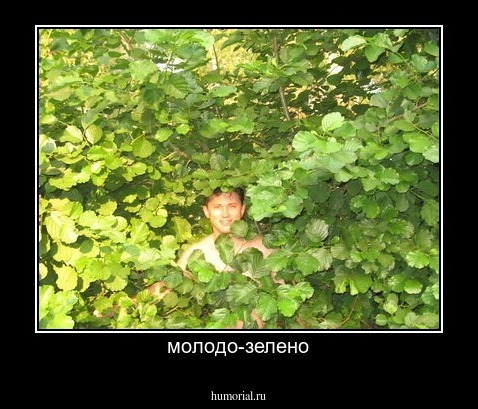 молодо-зелено