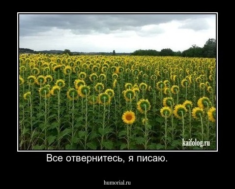 Все отвернитесь, я писаю.       