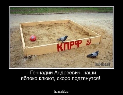 - Геннадий Андреевич, наши яблоко клюют, скоро подтянутся!