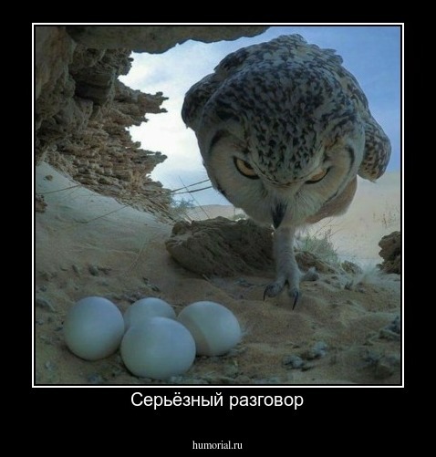 Серьёзный разговор