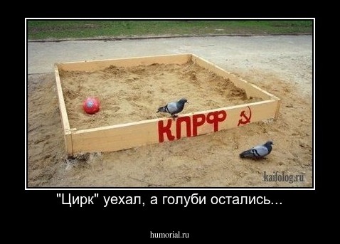 "Цирк" уехал, а голуби остались...
