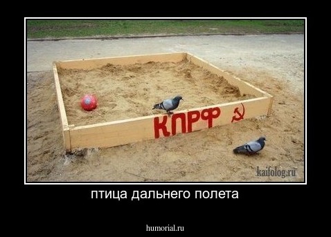 птица дальнего полета