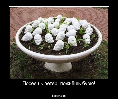 Посеешь ветер, пожнёшь бурю!