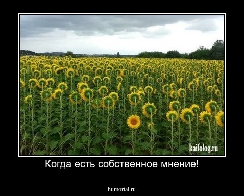 Когда есть собственное мнение!